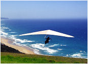 Drachenflieger &uuml;ber dem Strand von Wilderness