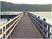Knysna Lagune: Steg